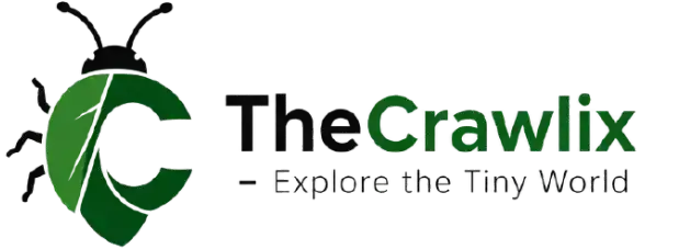 Thecrawlix